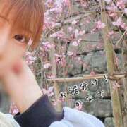 ヒメ日記 2025/04/23 15:16 投稿 かなで 道玄坂クリスタル