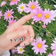 ヒメ日記 2025/04/26 09:46 投稿 かなで 道玄坂クリスタル