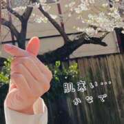 ヒメ日記 2025/05/05 09:26 投稿 かなで 道玄坂クリスタル