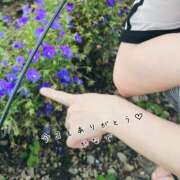 ヒメ日記 2025/06/27 23:56 投稿 かなで 道玄坂クリスタル