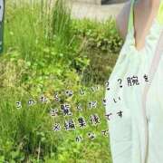 ヒメ日記 2025/08/03 22:36 投稿 かなで 道玄坂クリスタル