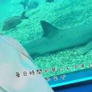 ヒメ日記 2025/08/15 22:56 投稿 かなで 道玄坂クリスタル