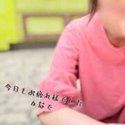 ヒメ日記 2025/10/04 01:16 投稿 かなで 道玄坂クリスタル