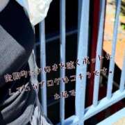 ヒメ日記 2025/10/18 23:46 投稿 かなで 道玄坂クリスタル