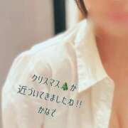 ヒメ日記 2025/12/15 16:46 投稿 かなで 道玄坂クリスタル