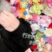 ヒメ日記 2026/01/18 17:56 投稿 かなで 道玄坂クリスタル