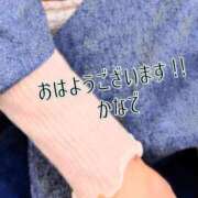 ヒメ日記 2026/01/23 06:36 投稿 かなで 道玄坂クリスタル