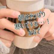 ヒメ日記 2026/01/29 07:36 投稿 かなで 道玄坂クリスタル
