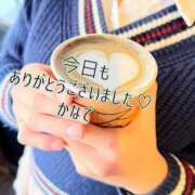 ヒメ日記 2026/01/31 17:56 投稿 かなで 道玄坂クリスタル