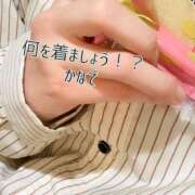 ヒメ日記 2026/02/11 12:46 投稿 かなで 道玄坂クリスタル