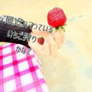 ヒメ日記 2026/02/12 07:46 投稿 かなで 道玄坂クリスタル