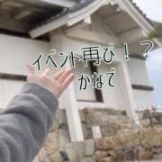 ヒメ日記 2026/02/24 23:47 投稿 かなで 道玄坂クリスタル