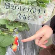 かなで 𝄆ビタミンCです🍓𝄇 道玄坂クリスタル