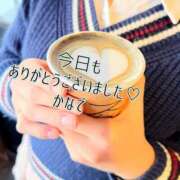 ヒメ日記 2026/03/01 23:30 投稿 かなで 道玄坂クリスタル