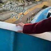 ヒメ日記 2026/03/03 15:56 投稿 かなで 道玄坂クリスタル