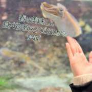 ヒメ日記 2026/03/04 14:16 投稿 かなで 道玄坂クリスタル