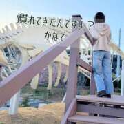 ヒメ日記 2026/03/07 14:56 投稿 かなで 道玄坂クリスタル