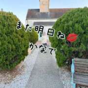 ヒメ日記 2026/04/24 16:46 投稿 かなで 道玄坂クリスタル
