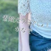 ヒメ日記 2026/06/12 19:16 投稿 かなで 道玄坂クリスタル