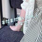 ヒメ日記 2026/08/26 15:16 投稿 かなで 道玄坂クリスタル