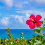 ヒメ日記 2025/03/09 11:44 投稿 なぎ 熟女の風俗最終章 仙台店