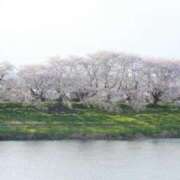 なぎ こんにちは☀️ 熟女の風俗最終章 仙台店