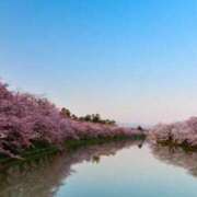 品川 はるるん🌸 熟女の風俗最終章 横浜本店