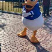 ヒメ日記 2026/04/09 11:14 投稿 品川 熟女の風俗最終章 横浜本店