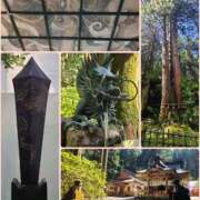 ヒメ日記 2025/09/15 08:27 投稿 まる DIVAセカンドシーズン土浦店