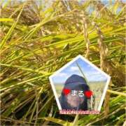 ヒメ日記 2025/09/28 10:27 投稿 まる DIVAセカンドシーズン土浦店