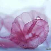 ヒメ日記 2025/07/27 12:37 投稿 さゆり DIVAセカンドシーズン土浦店