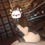 ヒメ日記 2024/12/15 13:23 投稿 つばき シェリーエンジェル