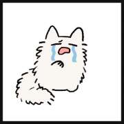 ヒメ日記 2024/12/18 09:57 投稿 つばき シェリーエンジェル