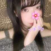 ヒメ日記 2025/10/12 21:16 投稿 つばき シェリーエンジェル