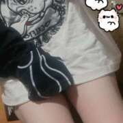 ヒメ日記 2025/11/13 10:28 投稿 つばき シェリーエンジェル