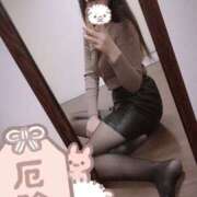 ヒメ日記 2025/11/14 18:20 投稿 つばき シェリーエンジェル