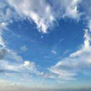 ヒメ日記 2025/11/18 11:52 投稿 つばき シェリーエンジェル