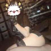 ヒメ日記 2025/12/26 20:40 投稿 つばき シェリーエンジェル