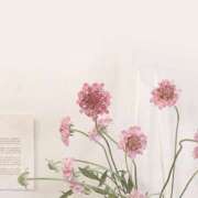 ヒメ日記 2024/12/14 14:42 投稿 なのは 治療院.LOVE 宇都宮店