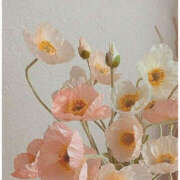 ヒメ日記 2025/02/06 11:36 投稿 なのは 治療院.LOVE 宇都宮店