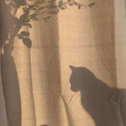 ヒメ日記 2025/02/22 09:21 投稿 なのは 治療院.LOVE 宇都宮店