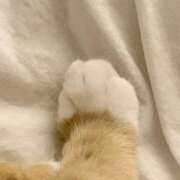 ヒメ日記 2025/02/22 23:51 投稿 なのは 治療院.LOVE 宇都宮店