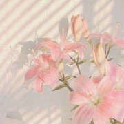 ヒメ日記 2025/02/23 09:12 投稿 なのは 治療院.LOVE 宇都宮店