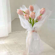 ヒメ日記 2025/03/14 09:33 投稿 なのは 治療院.LOVE 宇都宮店