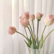 ヒメ日記 2025/03/16 08:33 投稿 なのは 治療院.LOVE 宇都宮店