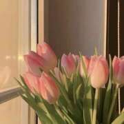 ヒメ日記 2025/03/19 23:51 投稿 なのは 治療院.LOVE 宇都宮店