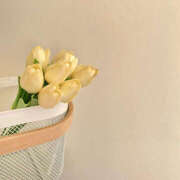 ヒメ日記 2025/03/23 10:42 投稿 なのは 治療院.LOVE 宇都宮店