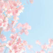 ヒメ日記 2025/04/16 22:57 投稿 なのは 治療院.LOVE 宇都宮店