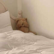 ヒメ日記 2025/09/08 12:39 投稿 なのは 治療院.LOVE 宇都宮店