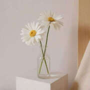 ヒメ日記 2025/10/13 00:00 投稿 なのは 治療院.LOVE 宇都宮店